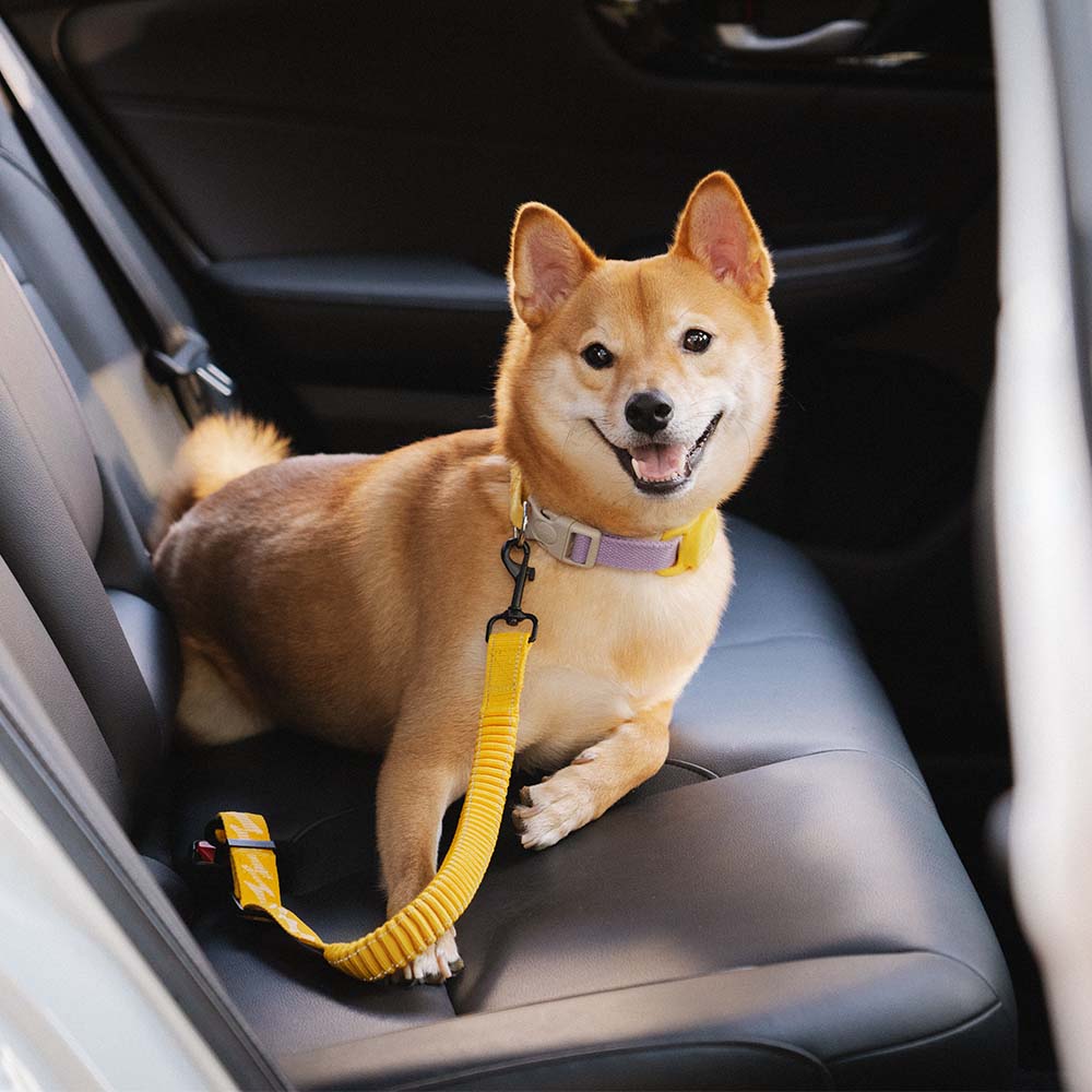 Car Seat Belt Buffer Adjustable Cool Dog Accessories - FUNNYFUZZY