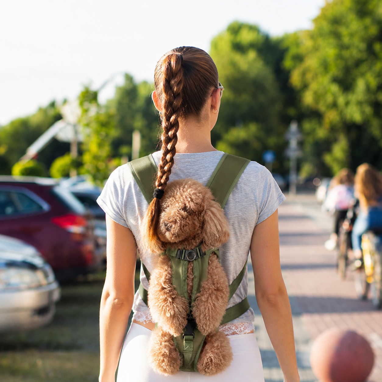 Dog Pet Carrier Bag Backpack - Cockpit