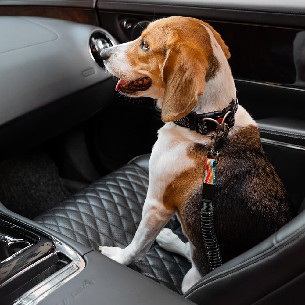 Colorful Buffer Adjustable Cool Dog Accessories Car Seat Belt - FUNNYFUZZY