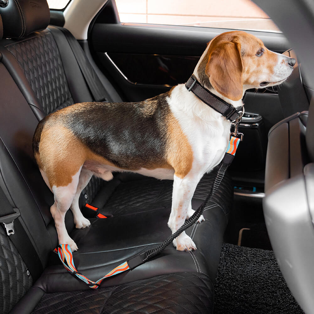 Colorful Buffer Adjustable Cool Dog Accessories Car Seat Belt - FUNNYFUZZY