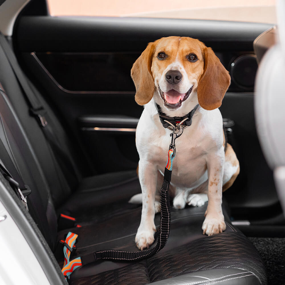 Colorful Buffer Adjustable Cool Dog Accessories Car Seat Belt - FUNNYFUZZY