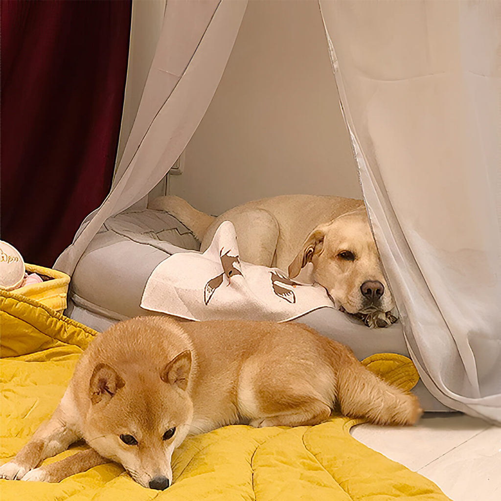 Leaf Shape Dog Blanket With Donut Dog Bed Luxury Dog Gifts - FUNNYFUZZY