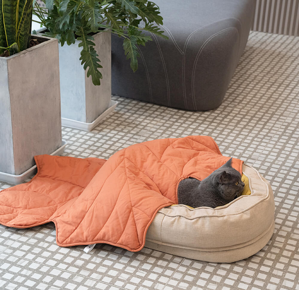 Donut Fluffy Orthopedic Dog Bed - FUNNYFUZZY
