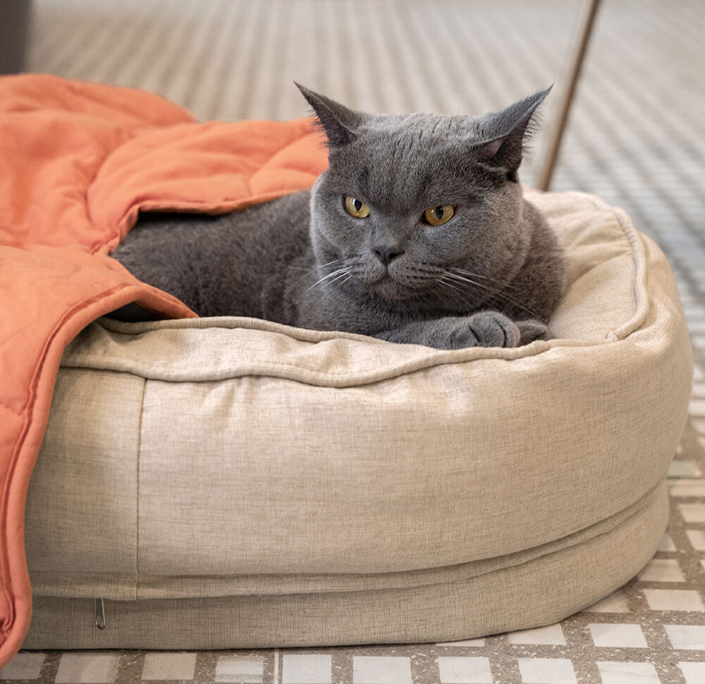 Leaf Shape Dog Blanket With Donut Dog Bed Luxury Dog Gifts - FUNNYFUZZY