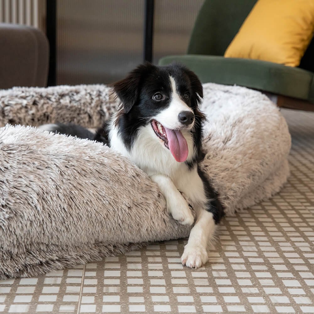 Luxury Super Large Sleep Deeper Oval Bed Human Dog Bed - FUNNYFUZZY