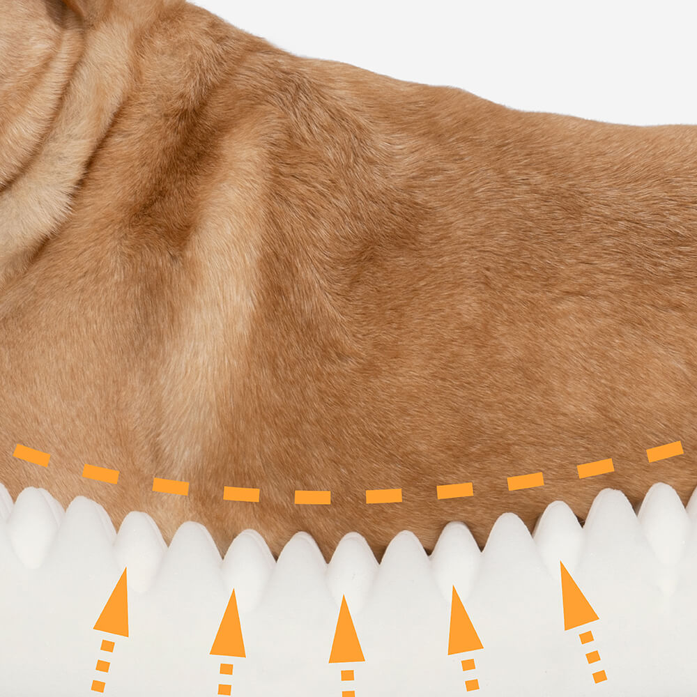 Leaf Shape Dog Blanket With Donut Dog Bed Luxury Dog Gifts - FUNNYFUZZY