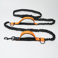 Multifunction Hands Free Dog Leash With Safety Seat Belt - FUNNYFUZZY